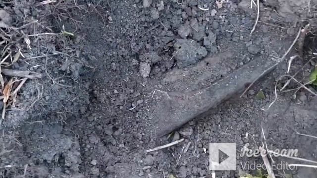 НЕ КОПАННОЕ МЕСТО. ХОРОШИЕ НАХОДКИ НА ЗАБРОШЕННОМ ТОКЕ смотреть онлайн