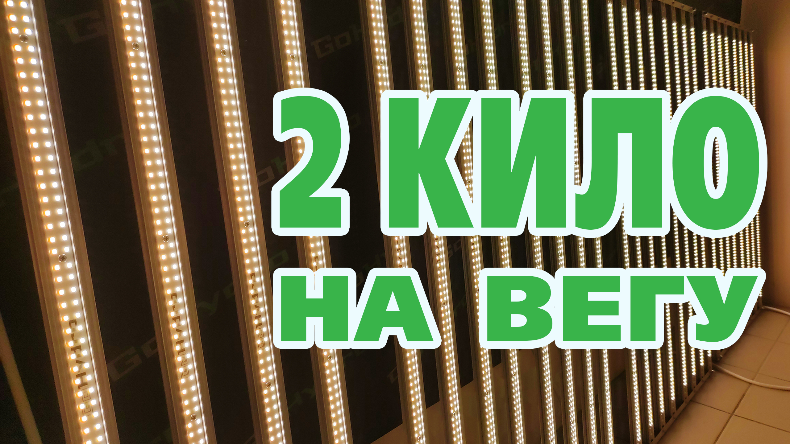 Светильник для растений | 2000W на светодиодах Samsung LM281B+PRO
