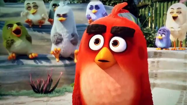 The Angry Birds Court Scene Movie смотреть онлайн