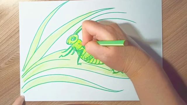 Как просто нарисовать кузнечика фломастерами и карандашами. смотреть онлайн
