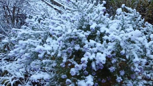 Если на дворе ноябрь, значит- жди апрель! смотреть онлайн