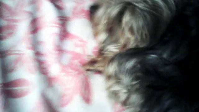 Пиши название для канала Малыша смотреть онлайн