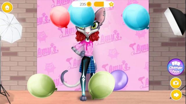 Amy's Animal Hair Salon  Cat Fashion & Hairstyles