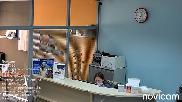Novicam BASIC 36 день смотреть онлайн
