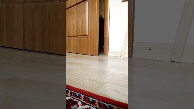 Брат когда никого нет дома смотреть онлайн