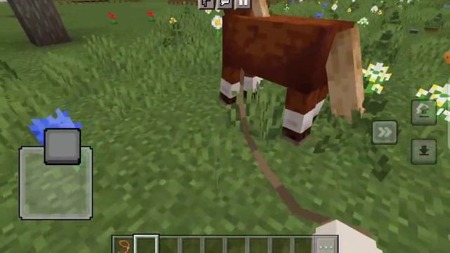 ?кормление/лошадей/майнкрафт?