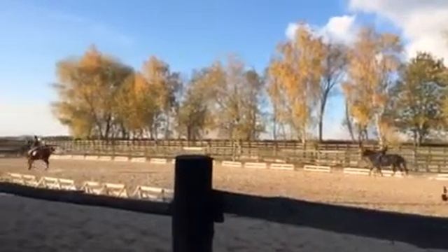 Невероятно красивое место о котором почему-то многие забыли | Волковыск | Конюшня смотреть онлайн