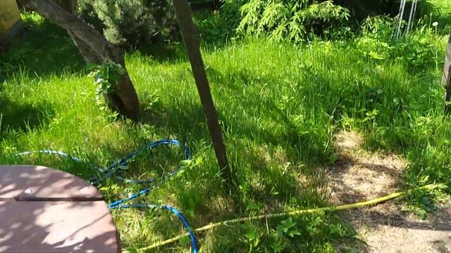 Огородные дела, коромысло лопнуло, медведя закончил смотреть онлайн