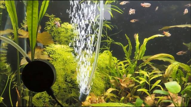 Как работает абсорбционный чиллер (АБХМ) смотреть онлайн