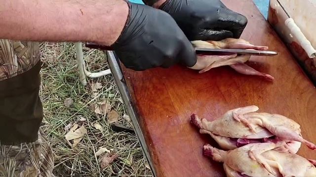ПЕРЕПЕЛКА ТАПАКА НА ДРОВЯНОЙ СКОВОРОДЕ ОХОТА НА КУБАНИ РЕЦЕПТЫ СЮФ смотреть онлайн
