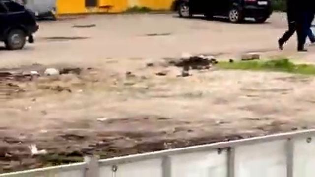 Галка ест Доширак смотреть онлайн