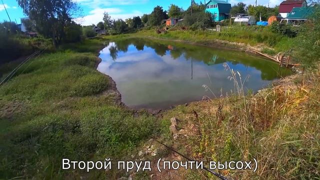 ОТ ПРУДА ОСТАЛАСЬ ЛУЖА, НО РЫБА ТУТ ЕСТЬ! Рыбалка на спиннинг! Ловля окуня и щуки на ультралайт! смотреть онлайн