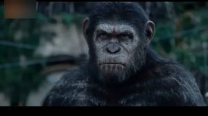 «Maymunlar sayyorasi 2» AQSh filmi