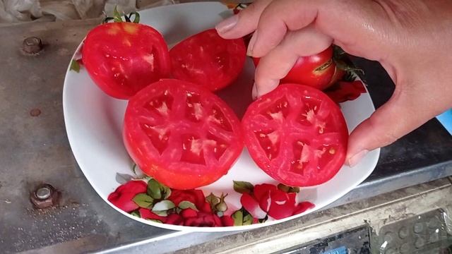 Обзор томата Терра Кота 18 августа 2021 смотреть онлайн