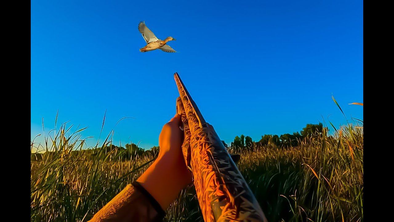 УТКИ САДЯТСЯ НА ГОЛОВУ. УТРЕННЯЯ ОХОТА НА УТКУ С СЫНОМ / MAX HUNTER смотреть онлайн