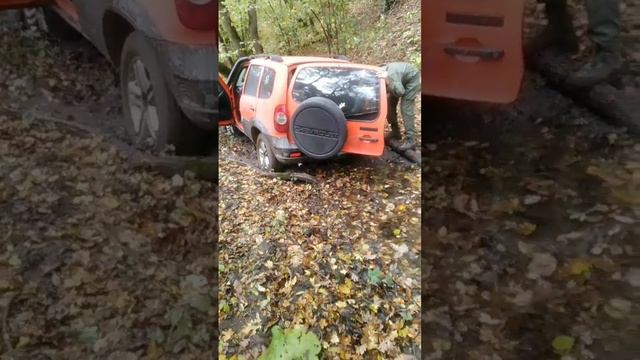 Шнива смотреть онлайн