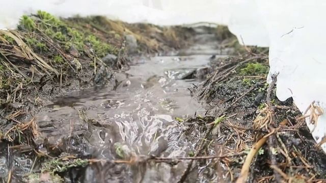 Canon G5X test video смотреть онлайн