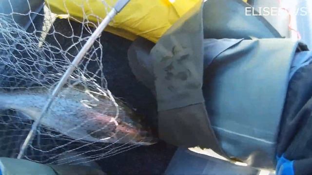 Тролинг,Имандра,первая кумжа сезона 2017 смотреть онлайн