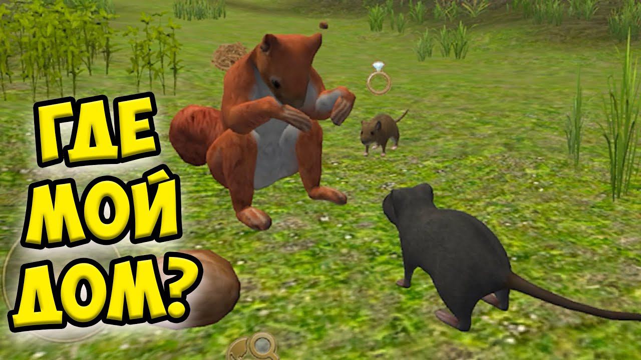 СИМУЛЯТОР МЫШИНапал барсук и белка Ухаживаю за питомцем смотреть онлайн