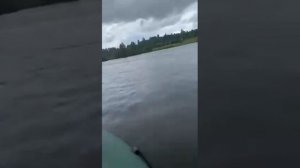 Пролодки, максимальная скорость лодочного электромотора 25 км. в час!