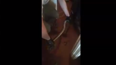 Змеи в стиралке смотреть онлайн