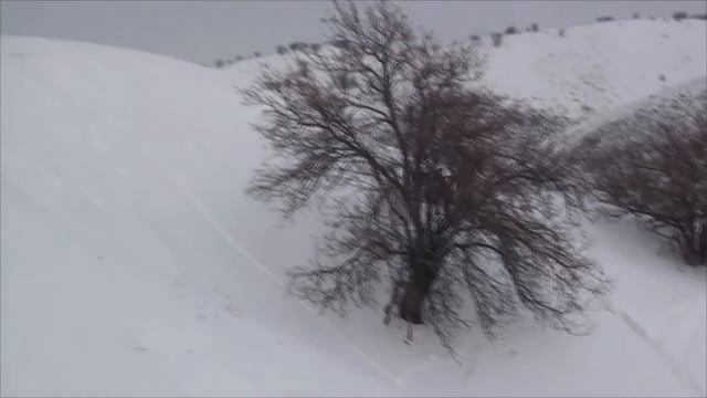 Тренировка (snowmobiles in Almaty) смотреть онлайн
