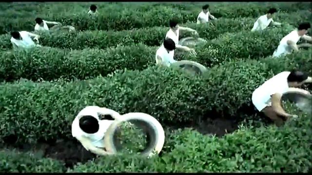 Ханчжоу Озеро Сиху, лотос, озеро Тысячи Островов смотреть онлайн