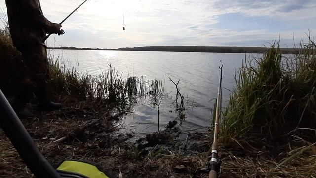 Рыбалка на карася (октябрь 2022) смотреть онлайн