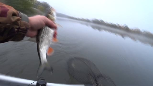 Сколько их под этим кустом. Рыбалка в Октябре. смотреть онлайн