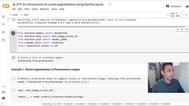 279 - An introduction to object segmentation using StarDist library in Python смотреть онлайн