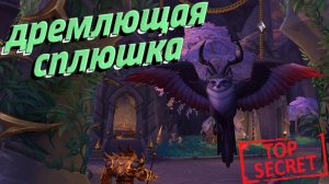 ДРЕМЛЮЩАЯ СПЛЮШКА - Как получить секретный облик на друида в World of Warcraft: Dragonflight 10.2