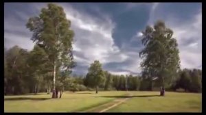 Белая берёза.  Михаил Гулько