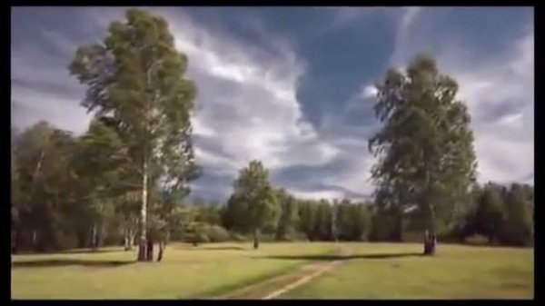 Белая берёза.  Михаил Гулько