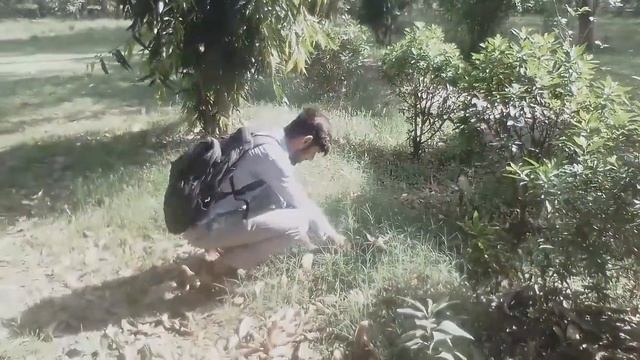 Saying yes CHALLENGE to Ahtesham for only 12 hours. ||. ??? Never ever say yes to anyone смотреть онлайн