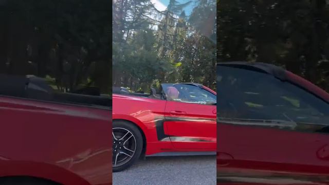 Сегодня погода Сочи смотреть онлайн