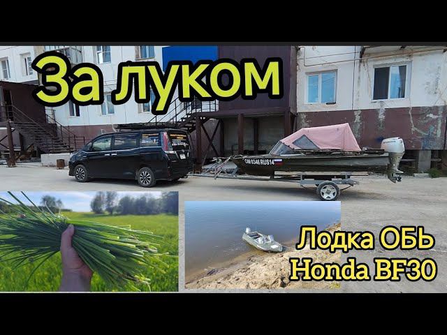 ЗА ЛУКОМ на остров РЕКА ЛЕНА 2024 Лодка ОБЬ HONDA BF30 смотреть онлайн