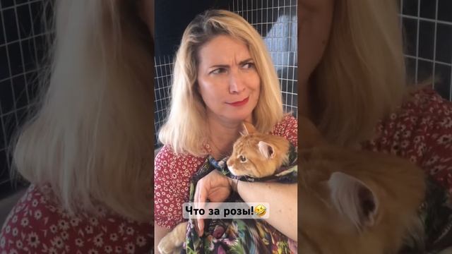 ЧТО ЗА РОЗЫ!? смотреть онлайн