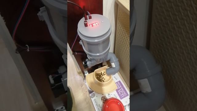 автоматическая кормушка для кошек и собак