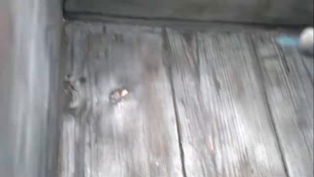 Обжиг ульев газовой горелкой смотреть онлайн