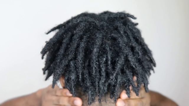 1 Year Visual Locs Journey | 1 - 12 Months Starter Locs (Dreadlocks Journey) смотреть онлайн