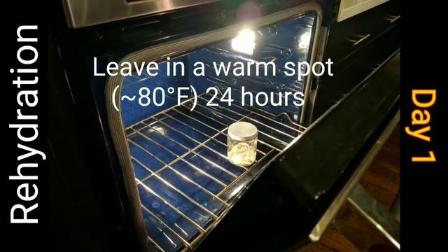 How to Dehydrate & Rehydrate Sourdough Starter смотреть онлайн