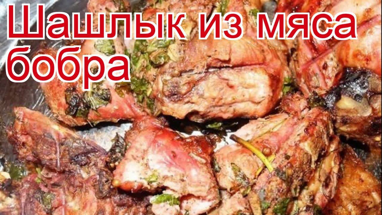 Рецепты из бобра - как приготовить бобра пошаговый рецепт - Шашлык из мяса бобра за 30 минут
