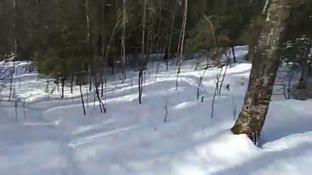 Санкт-Петербург шуваловский парк смотреть онлайн