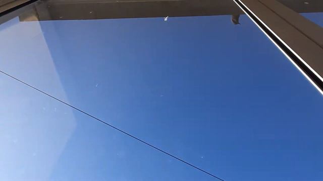Наглые голуби дразнят кошку!! смотреть онлайн