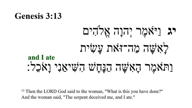 Genesis 3 -- Hebrew Bible Speaker with English Captions смотреть онлайн