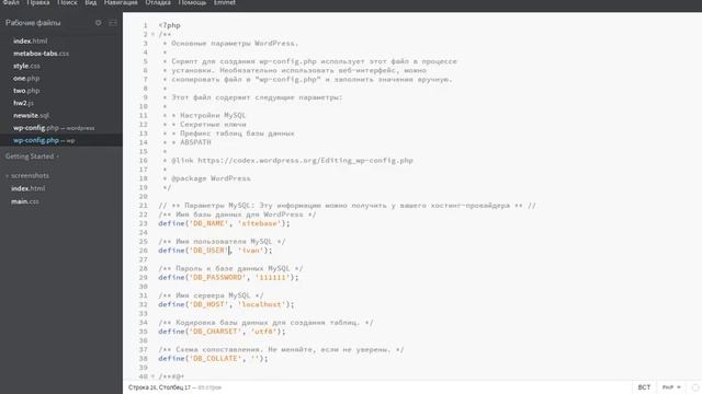 Настройки для базы данных сайта WordPress смотреть онлайн