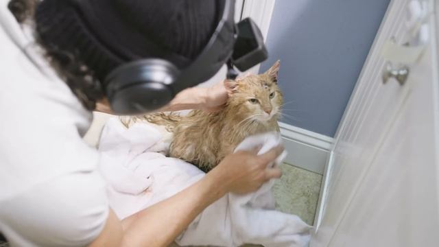 OTRCMP : EP7 : I Rescued a Barn Cat & He Changed my Life! смотреть онлайн