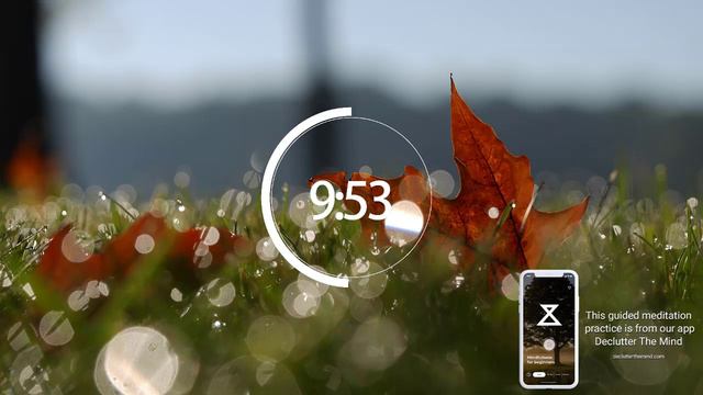 20 Minute Guided Morning Meditation For Gratitude