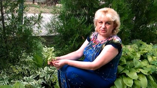 СНЫТЬ ПЕСТРОЛИСТНАЯ смотреть онлайн