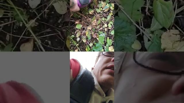 км атом cmcs - 181. цепная мини - пила, аккумуляторная. смотреть онлайн